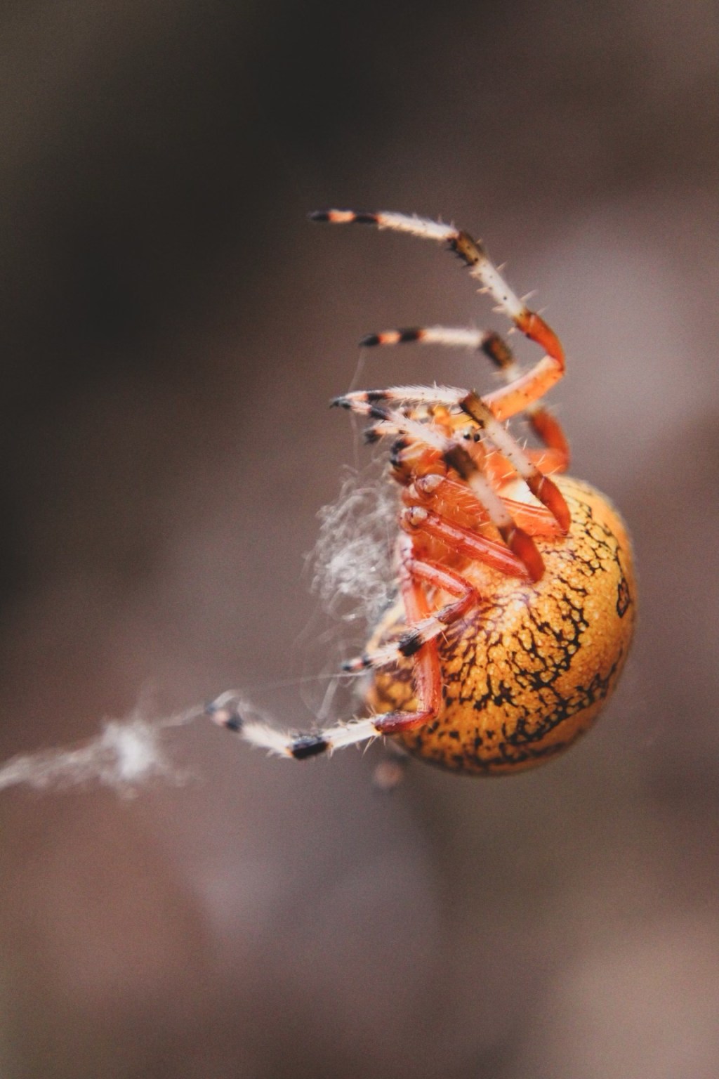 Oh, what a tangled web we&nbsp;weave.